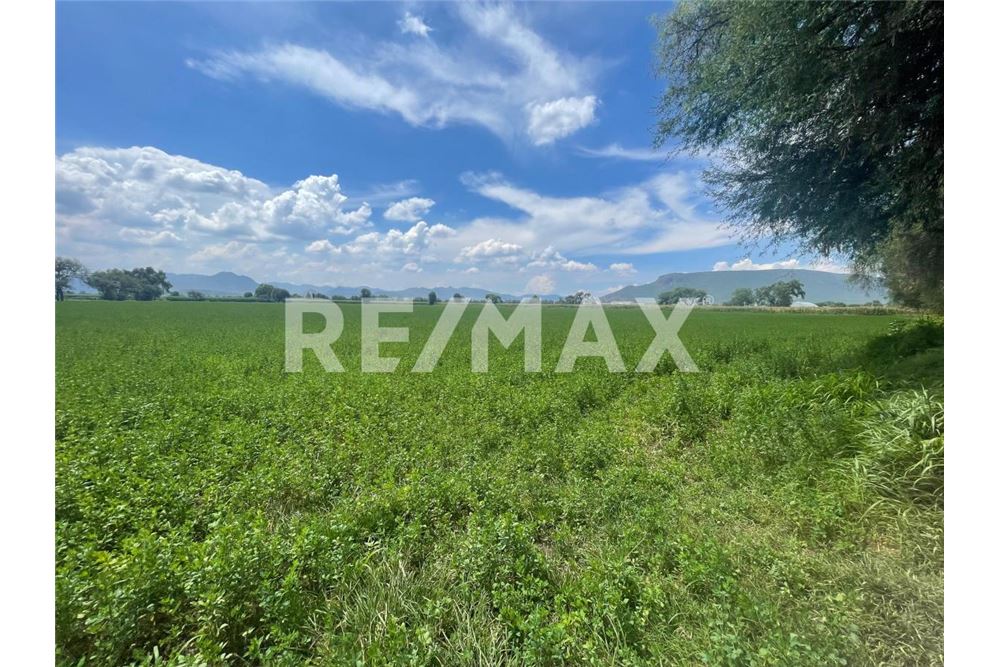 Commercio - Terreno - Mixquiahuala De Juárez, Messico - Mexico - 13 - 1001065095-177