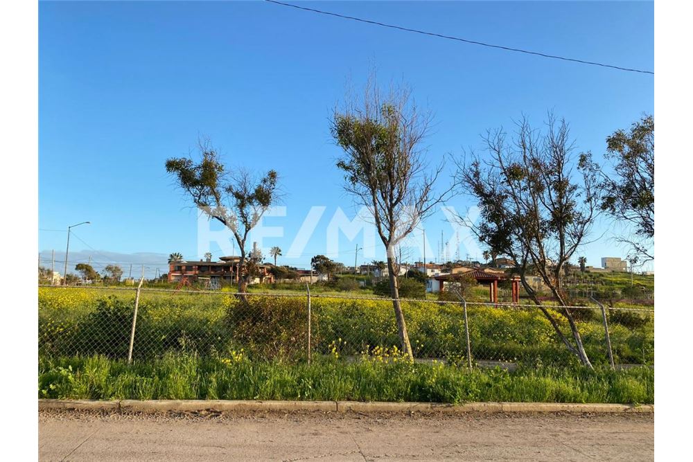 Residenziale - Parte di Terreno per Appezzamento - Playas De Rosarito, Messico - Mexico - 7 - 1001006176-102