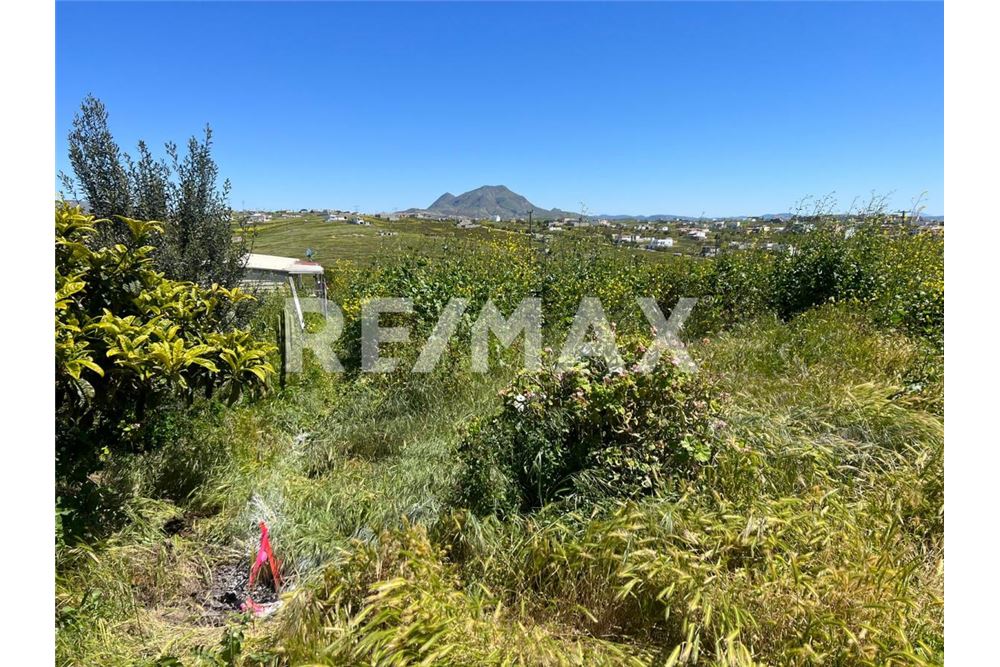 Residenziale - Parte di Terreno per Appezzamento - Playas De Rosarito, Messico - Mexico - 1 - 1001006176-102
