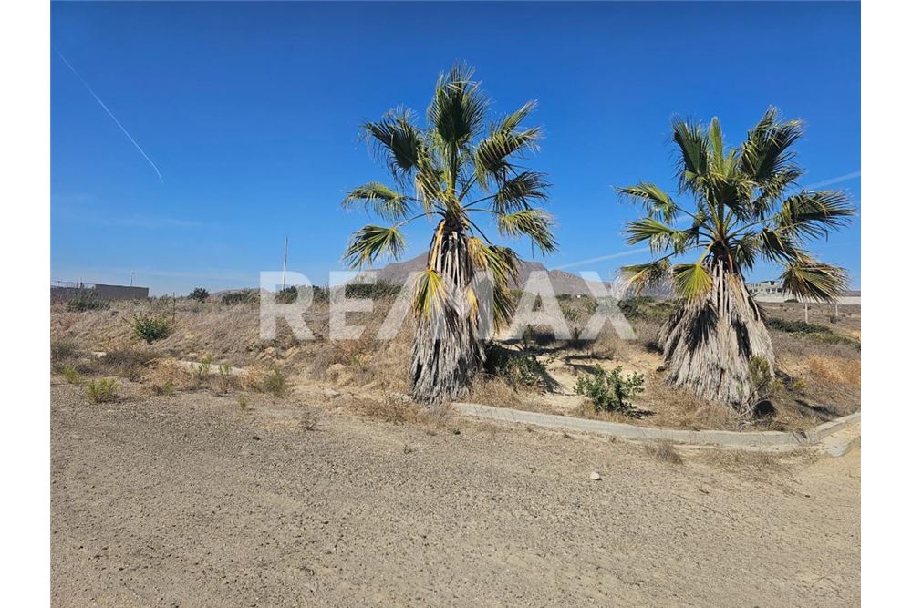 Residential - Plot of Land for Investment - Playas De Rosarito, Mexico - Mexico - 3 - 1001006194-63