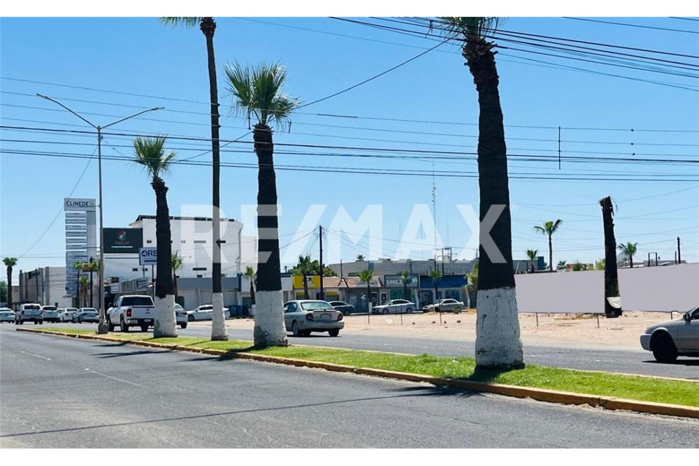 Επαγγελματικό - Κτήμα - San Luis Río Colorado, Μεξικό - Mexico - 2 - 1001133107-51