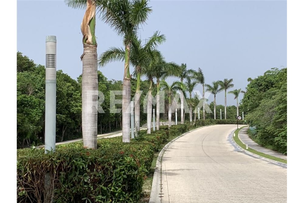 Residential - Plot of Land for Investment - Tulum, Mexico - Mexico - 7 - 1001040022-180