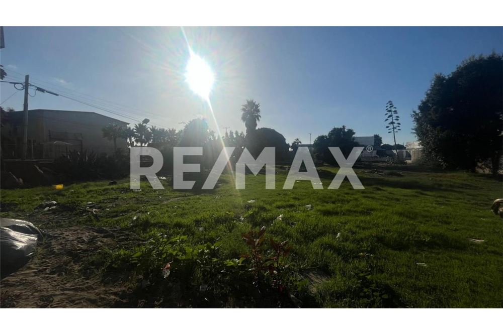 Comercial - Terrenos - Playas De Rosarito, México - Mexico - 6 - 1001006182-101