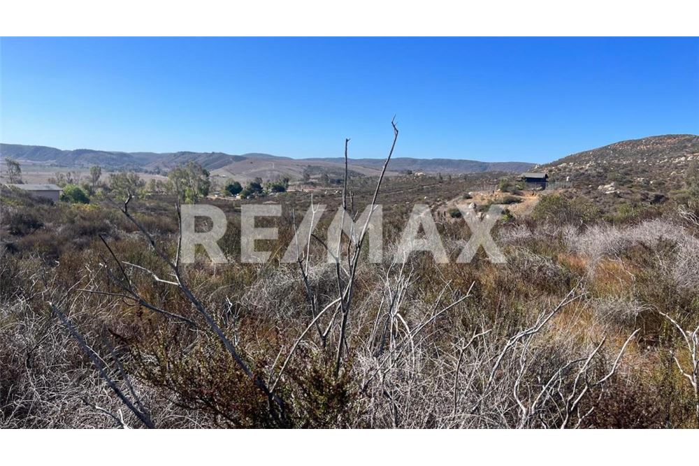 Residenziale - Parte di Terreno per Appezzamento - Ensenada, Messico - Mexico - 15 - 1001006182-102