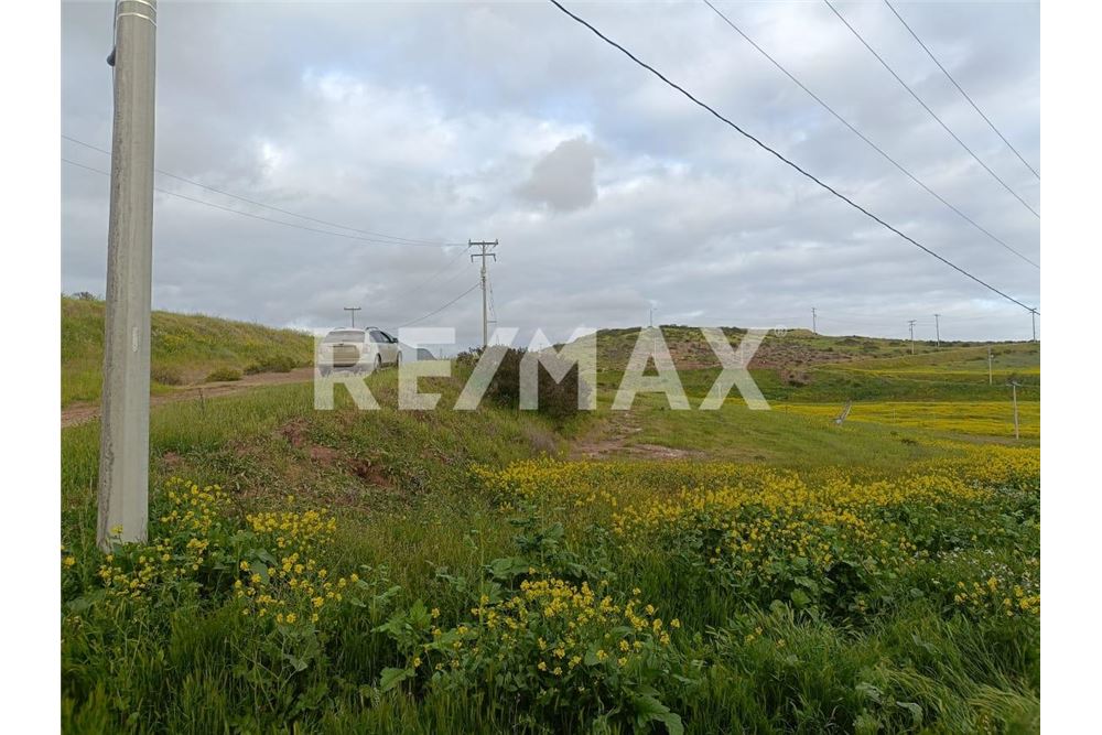 Residential - Plot of Land for Investment - Playas De Rosarito, Mexico - Mexico - 6 - 1001006243-60