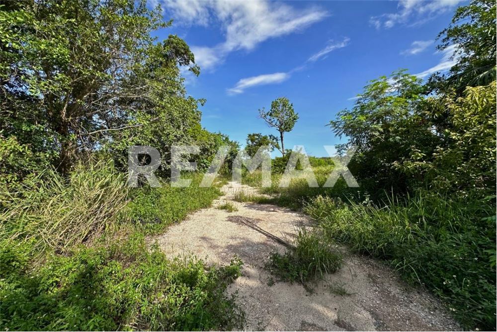 商业 - 土地 - Cancún, 墨西哥 - Mexico - 9 - 1001068002-64