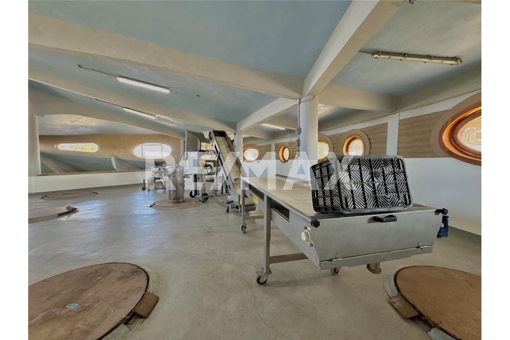 Commercial - Land - Ensenada, Mexico - Mexico - 23 - 1001006001-770