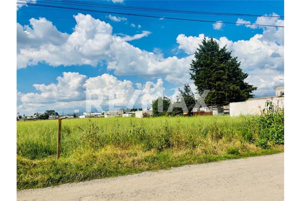Residential - Plot of Land for Investment - Metepec, Mexico - Mexico - 7 - 1001021073-30