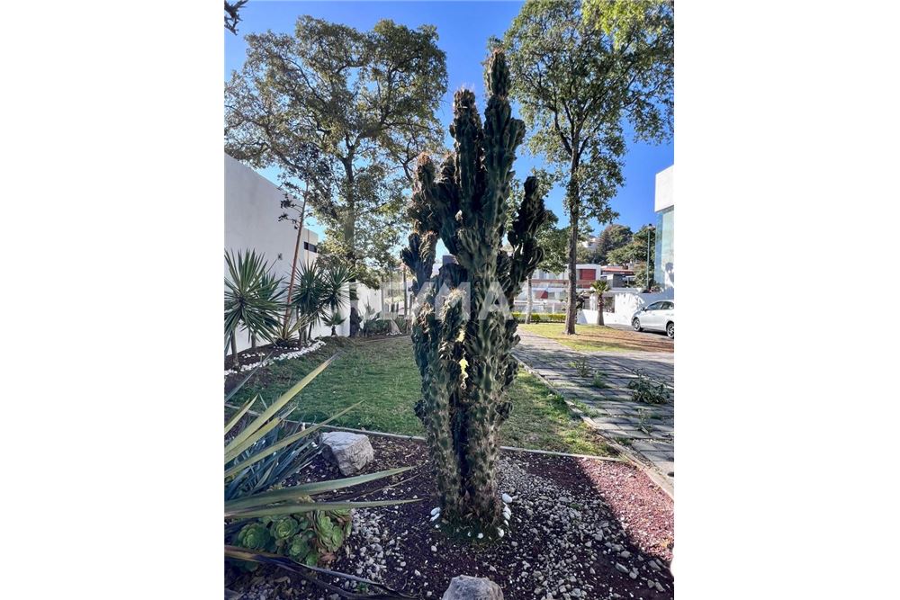 住宅 - 投资用地 - Ciudad López Mateos, 墨西哥 - Mexico - 35 - 1001028014-25