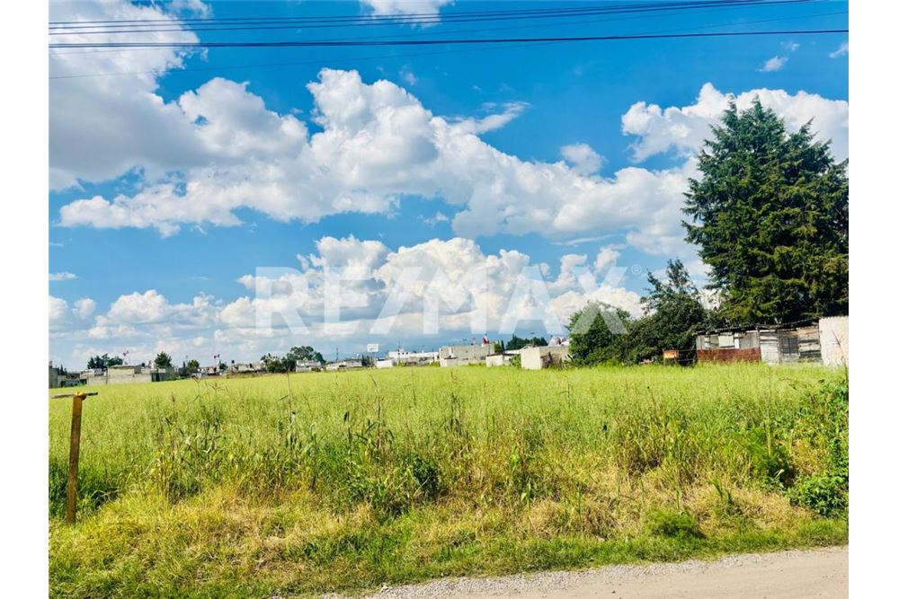 Residential - Plot of Land for Investment - Metepec, Mexico - Mexico - 5 - 1001021073-30
