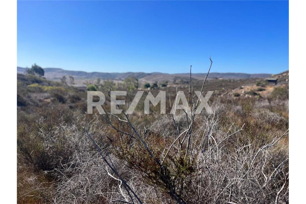 Residenziale - Parte di Terreno per Appezzamento - Ensenada, Messico - Mexico - 16 - 1001006182-102