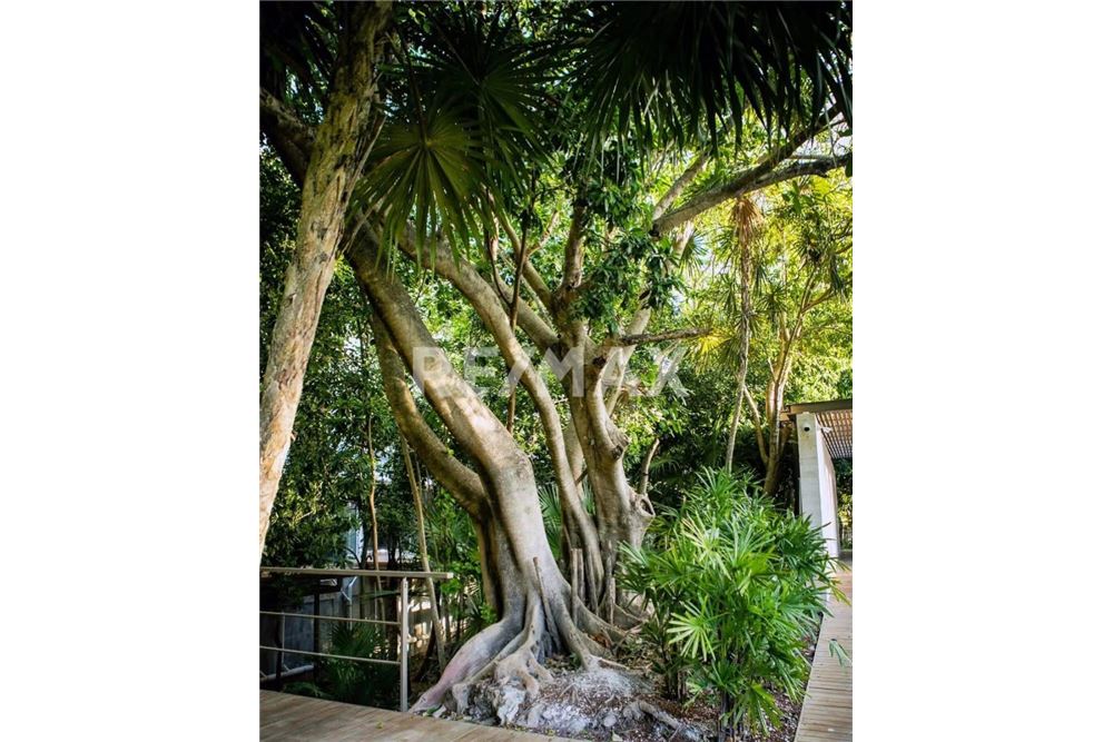 Residential - Apartment with roof - Playa del Carmen, Mexico - Mexico - 33 - 1001040001-1397