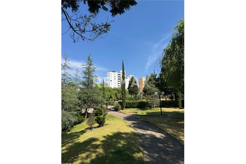 Wohnung - Dachwohnung - Ciudad de México, Mexiko - Mexico - 1 - 1001105092-52