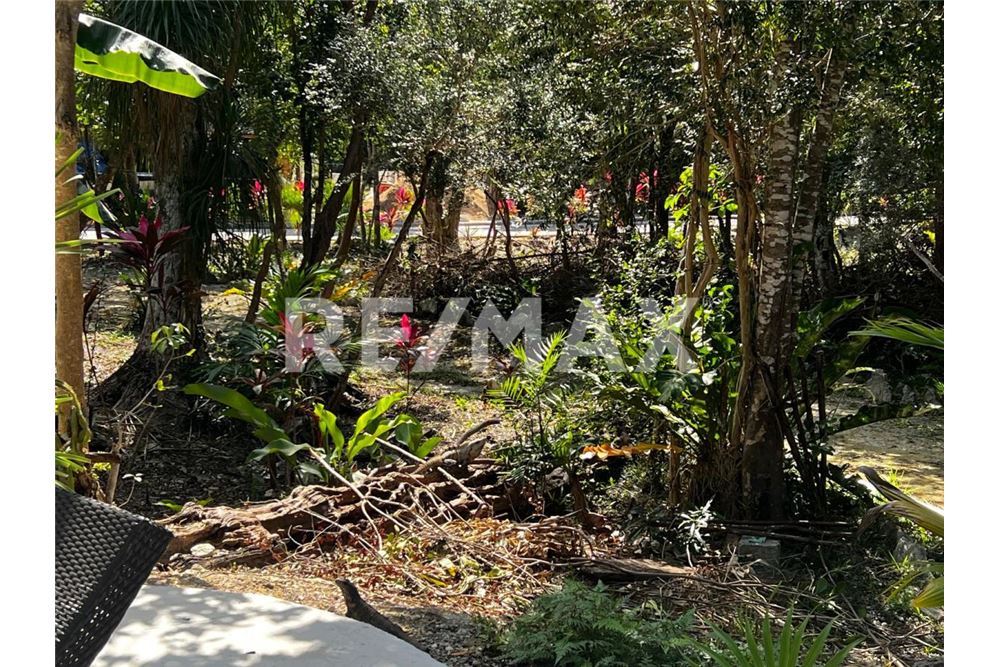 Residential - Plot of Land for Investment - José María Morelos, Mexico - Mexico - 8 - 1001040001-1392