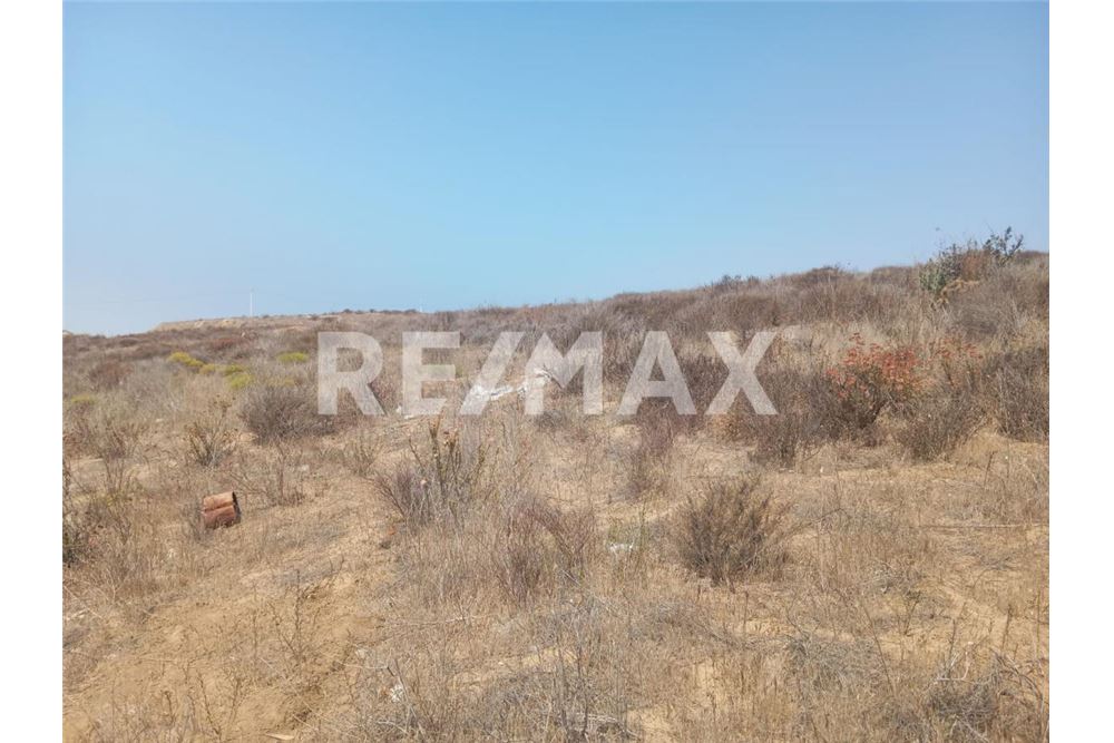 Residential - आवंटन हेतु भूमि का प्लॉट - Playas De Rosarito, मेक्सिको - Mexico - 10 - 1001006250-26