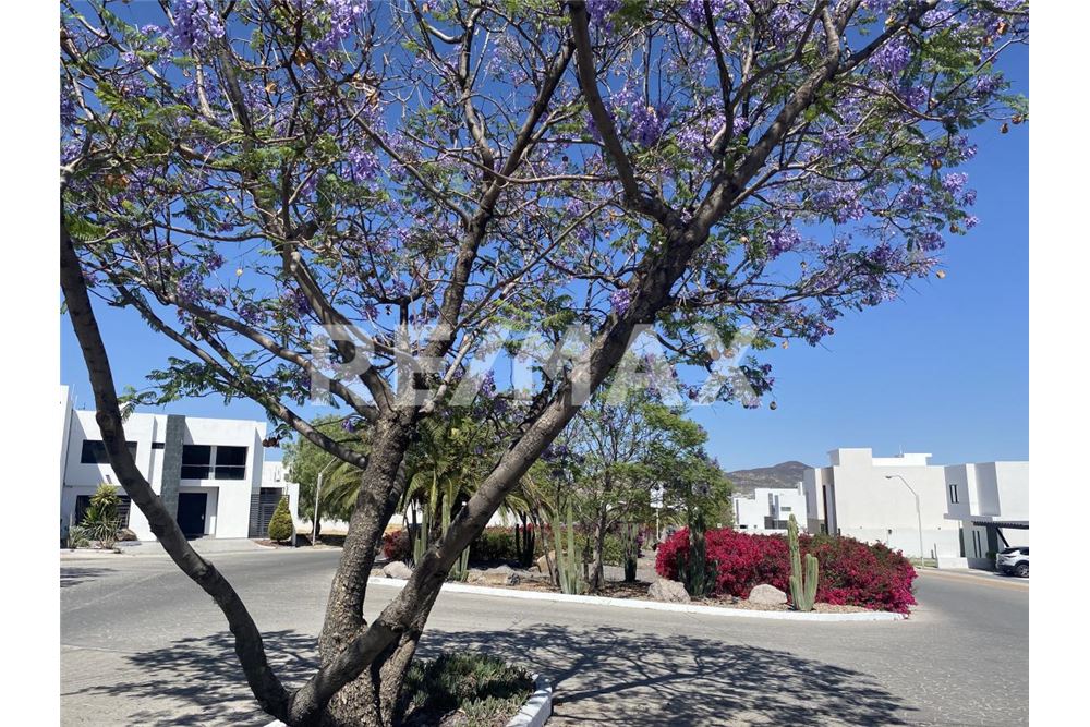 Residential - House - Querétaro, Mexico - Mexico - 23 - 1001065014-110