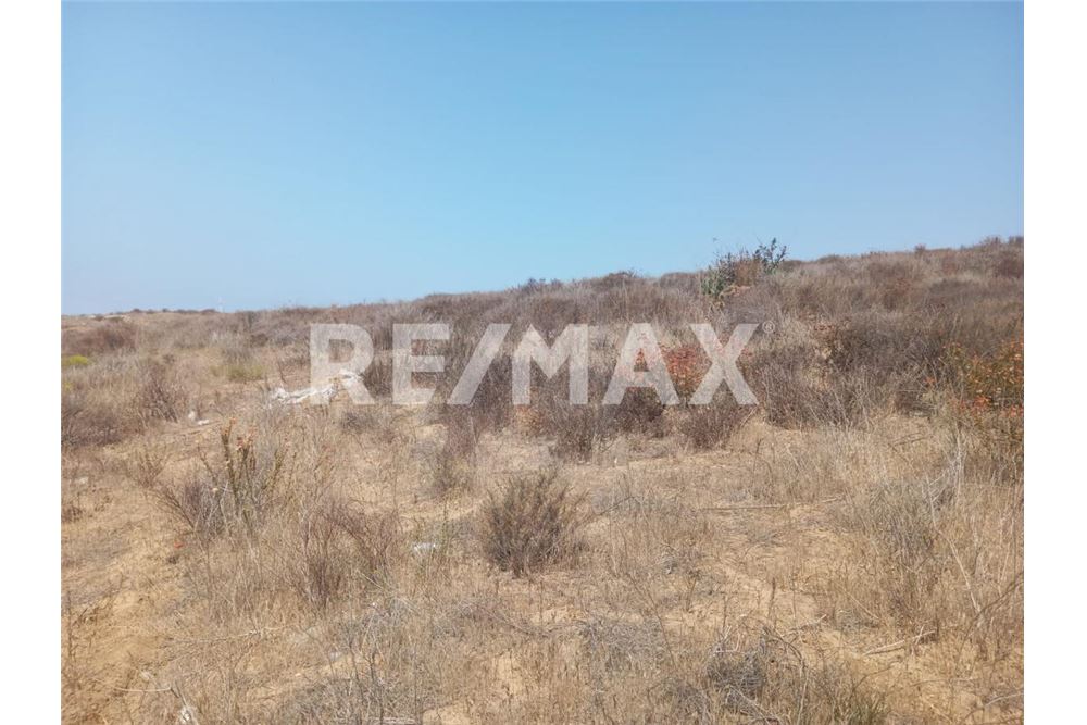 Residential - आवंटन हेतु भूमि का प्लॉट - Playas De Rosarito, मेक्सिको - Mexico - 9 - 1001006250-26