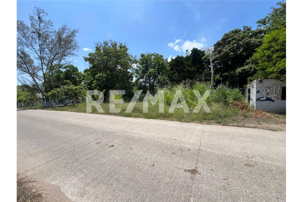 lakó - parcellázásra szánt terület - Tampico Alto, Mexikó - Mexico - 4 - 1001080171-3