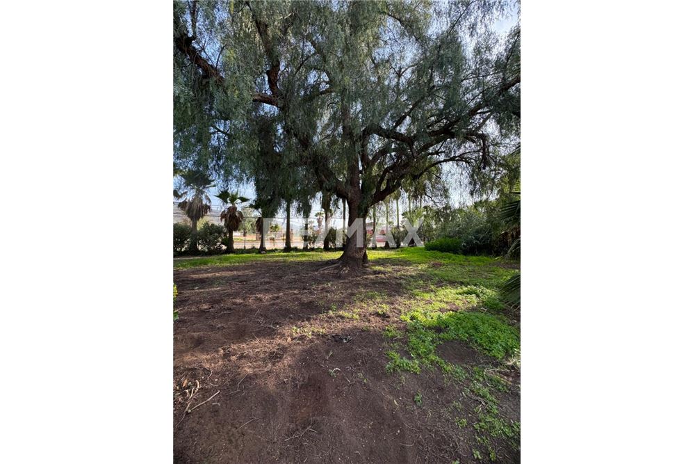 Residential - House - Ensenada, Mexico - Mexico - 26 - 1001104033-44