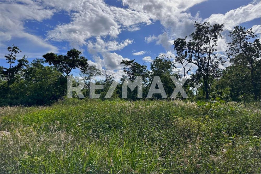 商业 - 土地 - Cancún, 墨西哥 - Mexico - 10 - 1001068002-64