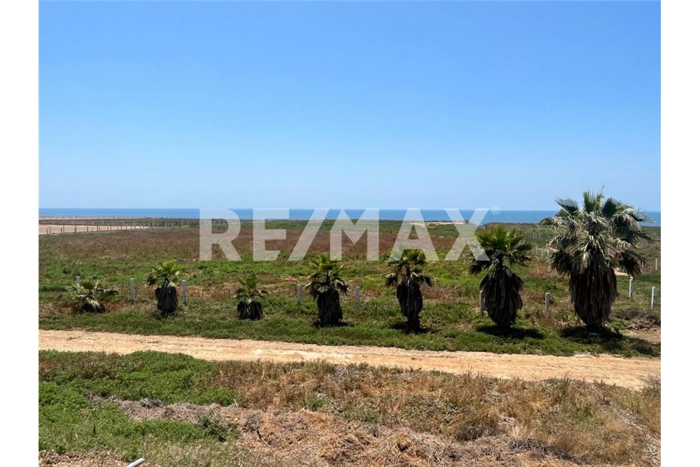 Commercieel - Grond - Playas De Rosarito, Mexiko - Mexico - 1 - 1001006182-85