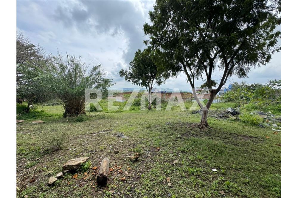 Commercieel - Grond - Tonala, Mexiko - Mexico - 13 - 1001183041-75