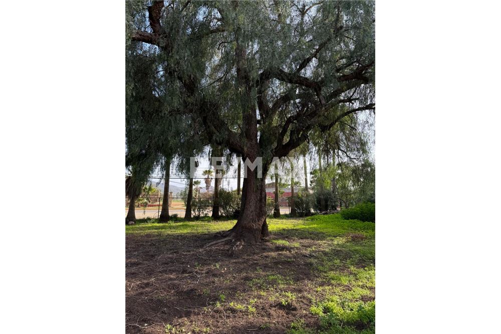 Residential - House - Ensenada, Mexico - Mexico - 27 - 1001104033-44