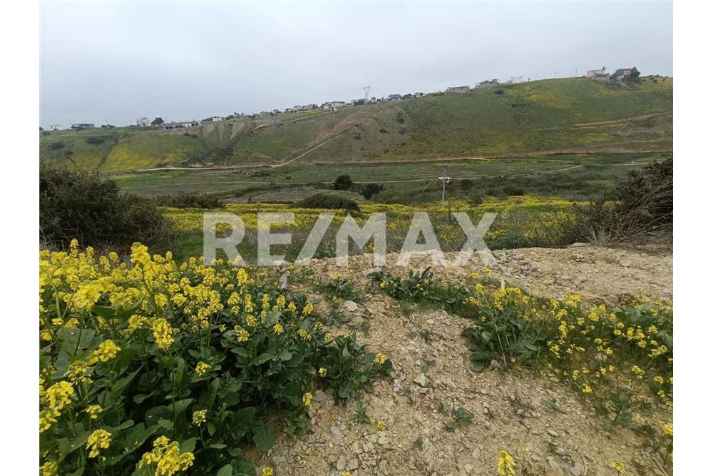 Residential - Plot of Land for Investment - Playas De Rosarito, Mexico - Mexico - 15 - 1001006243-59