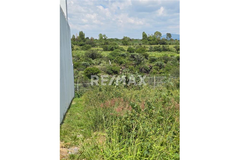 Residential - Plot of Land for Investment - Querétaro, Mexico - Mexico - 4 - 1001065104-680