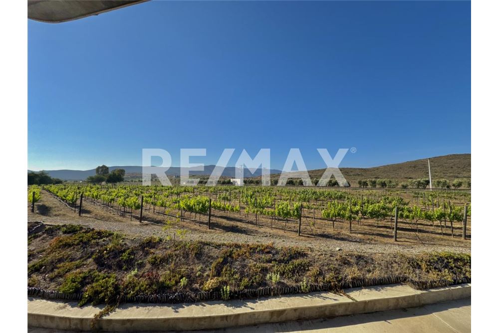 Commercial - Land - Ensenada, Mexico - Mexico - 6 - 1001006001-770