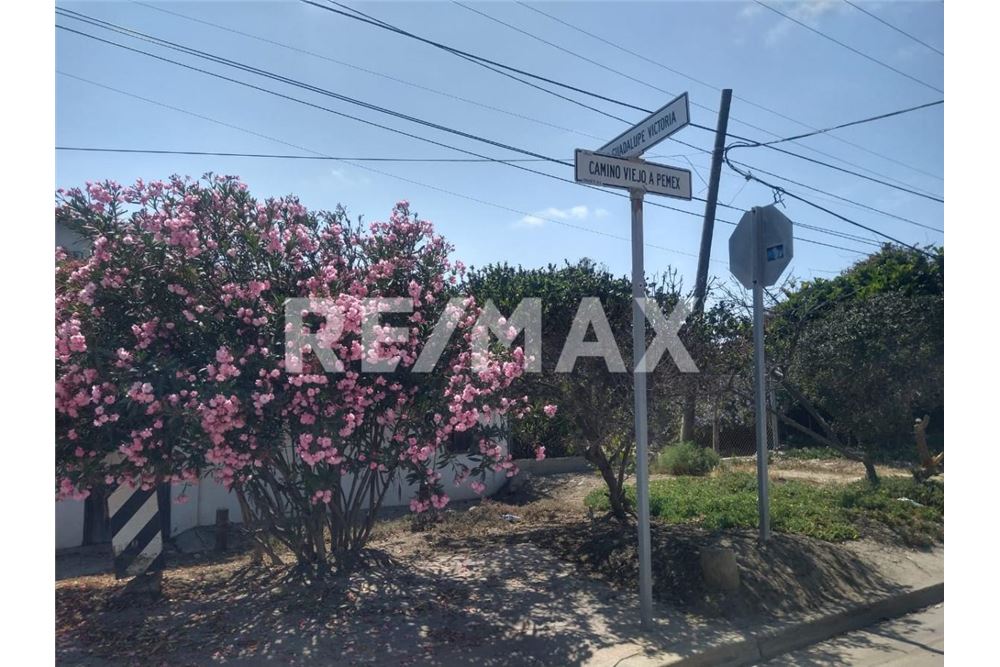 Residential - Plot of Land for Investment - Playas De Rosarito, Mexico - Mexico - 36 - 1001006174-66
