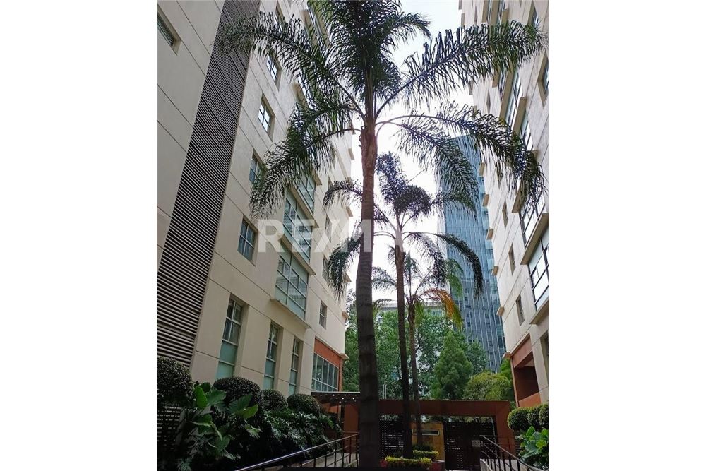 Commercial - Office - Ciudad de México, Mexico - Mexico - 3 - 1001021005-24