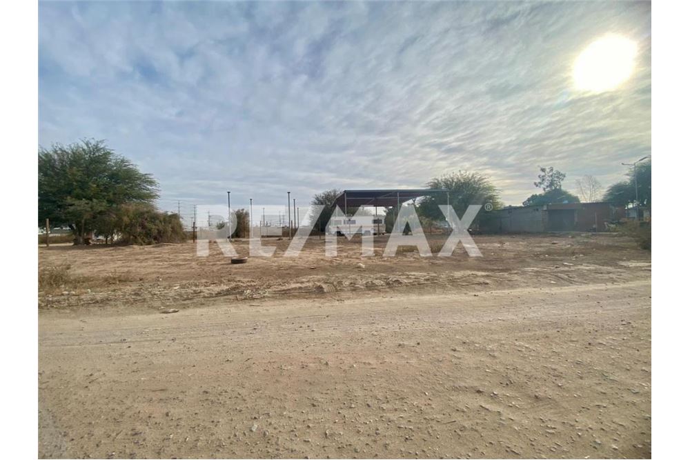 Rezidential - Lot Teren Arendă - Mexicali, Mexic - Mexico - 3 - 1001213002-138