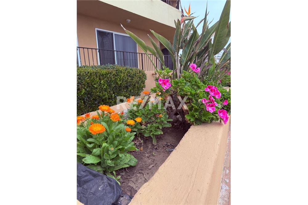 Residential - Condo/Apartment - Playas De Rosarito, Mexico - Mexico - 27 - 1001006001-758