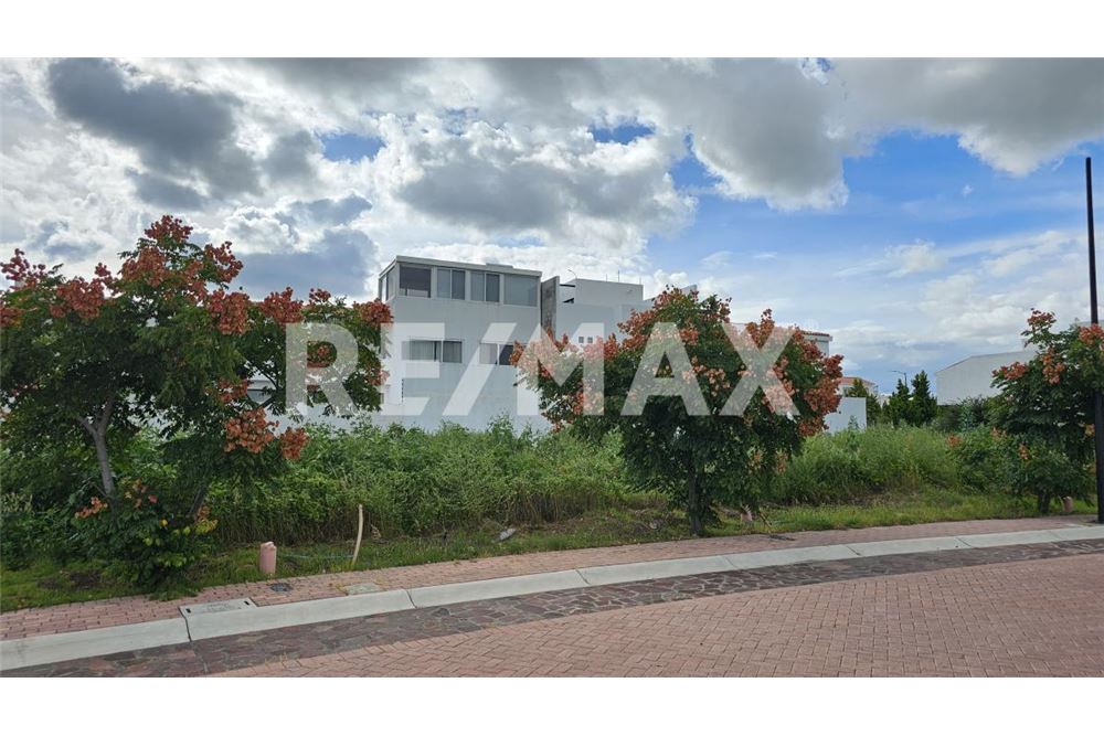 Residential - Plot of Land for Investment - El Marques, Mexico - Mexico - 12 - 1001065017-77