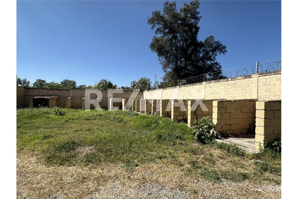 Commercial - Land - Tlajomulco De Zúñiga, Mexico - Mexico - 5 - 1001183003-69