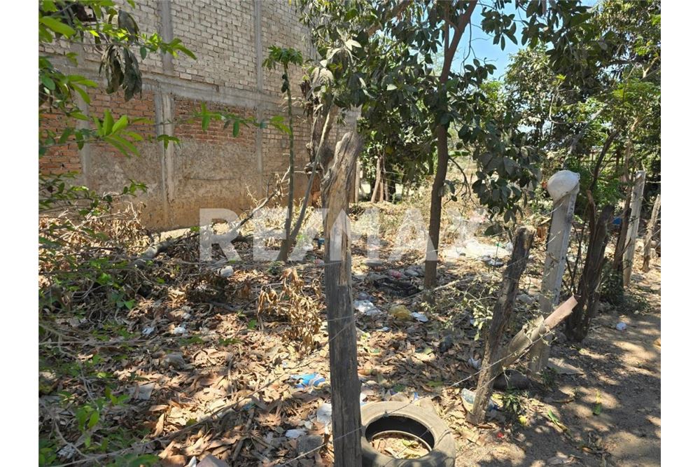 Residential - Plot of Land for Investment - Bucerías, Mexico - Mexico - 3 - 1001121015-11