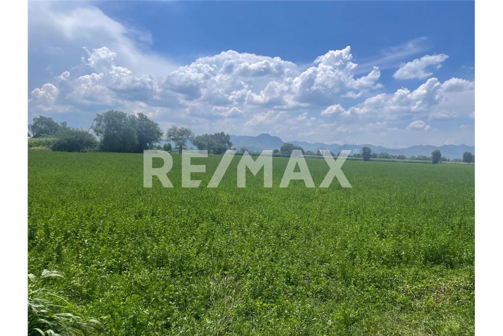 Commercio - Terreno - Mixquiahuala De Juárez, Messico - Mexico - 7 - 1001065095-177