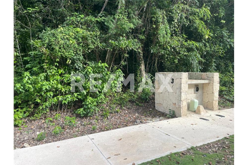 Residential - Plot of Land for Investment - Tulum, Mexico - Mexico - 5 - 1001040022-180