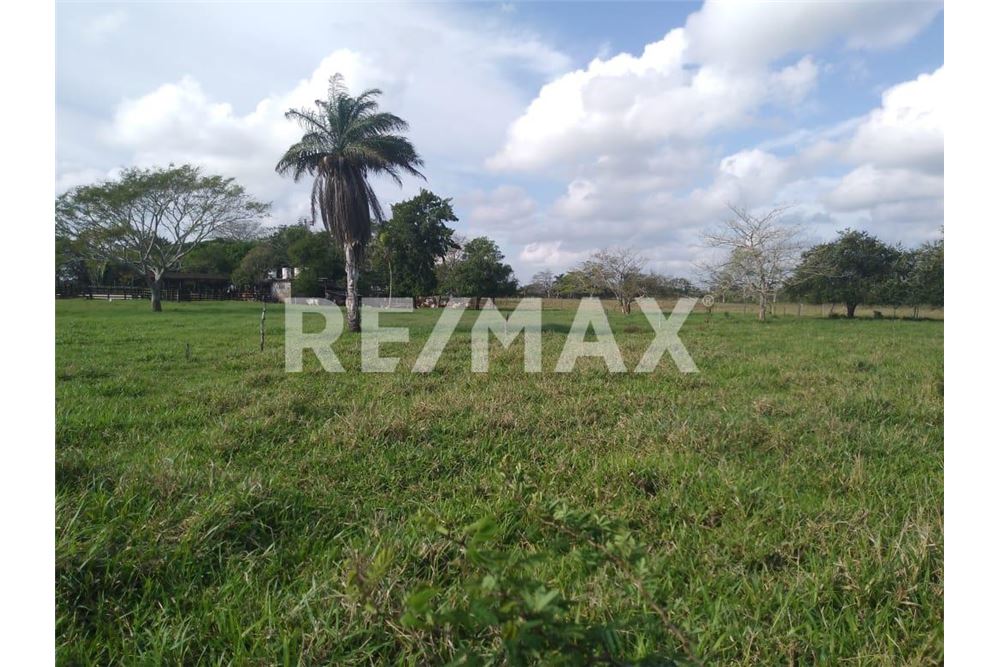 Rezidenčná - Farma - Tizimin, Mexiko - Mexico - 5 - 1001043119-96