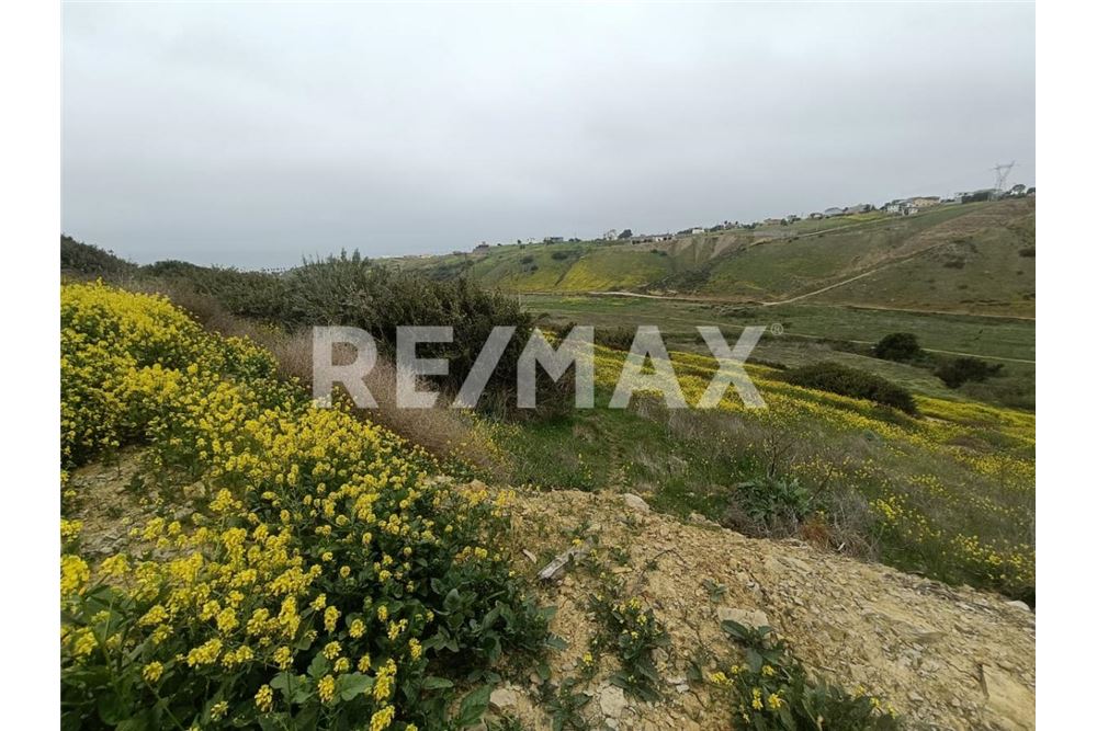 Residential - Plot of Land for Investment - Playas De Rosarito, Mexico - Mexico - 12 - 1001006243-59