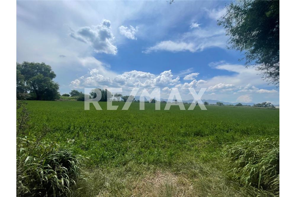 Commercio - Terreno - Mixquiahuala De Juárez, Messico - Mexico - 5 - 1001065095-177