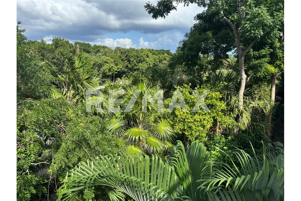 Residential - Apartment with roof - Tulum, Mexico - Mexico - 4 - 1001040022-190
