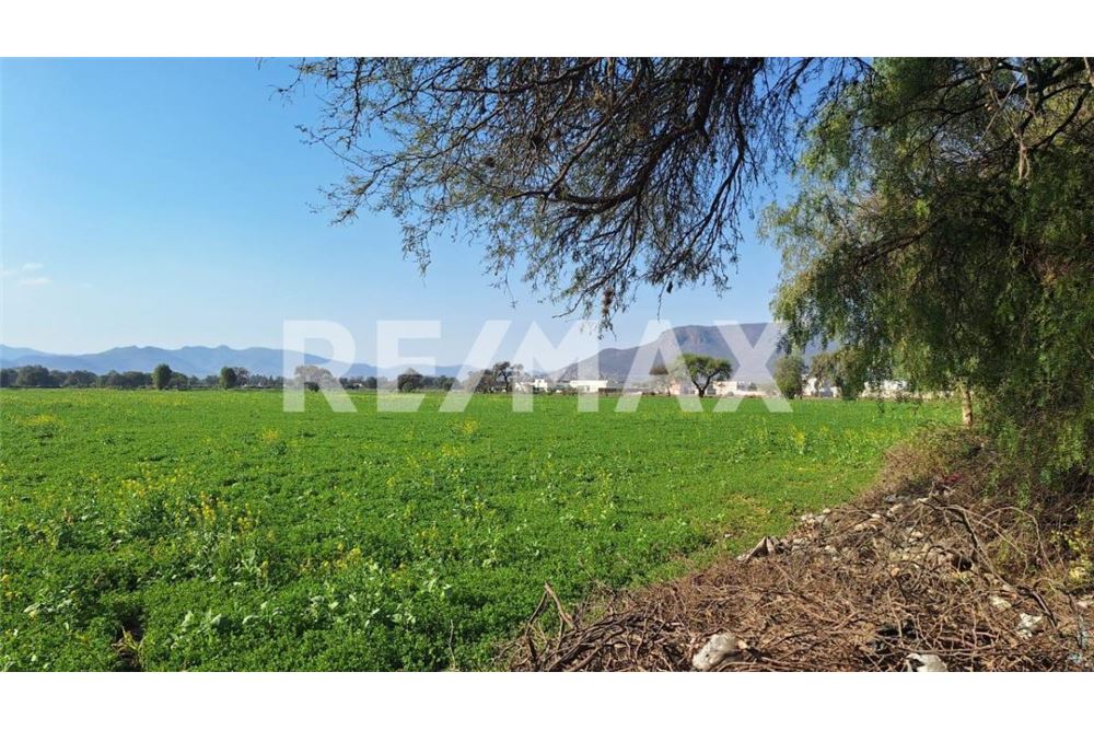 Commercio - Terreno - Mixquiahuala De Juárez, Messico - Mexico - 1 - 1001065095-177