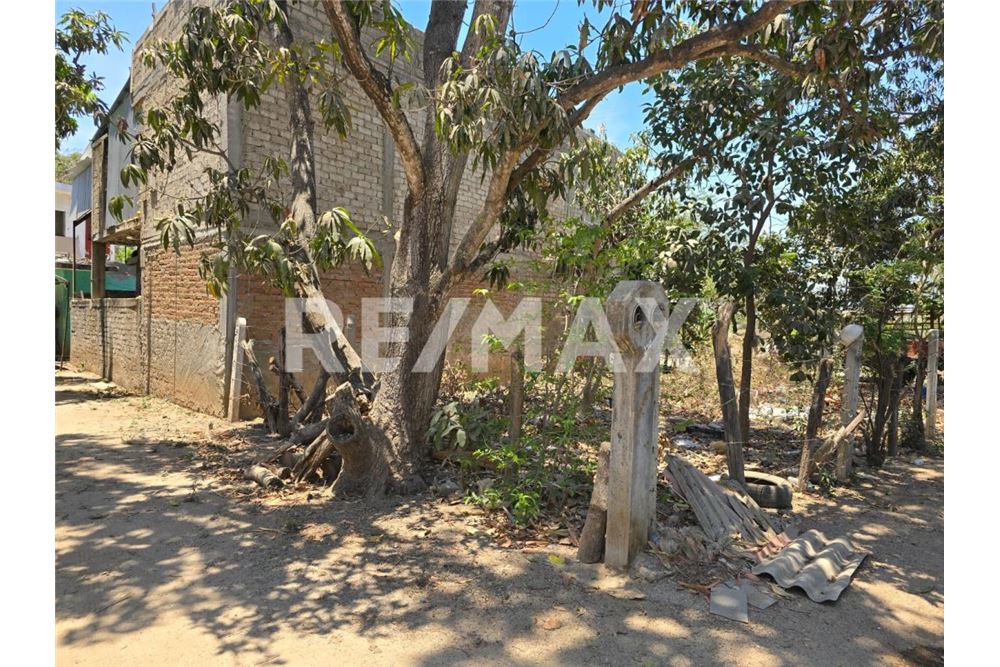 Residential - Plot of Land for Investment - Bucerías, Mexico - Mexico - 4 - 1001121015-11