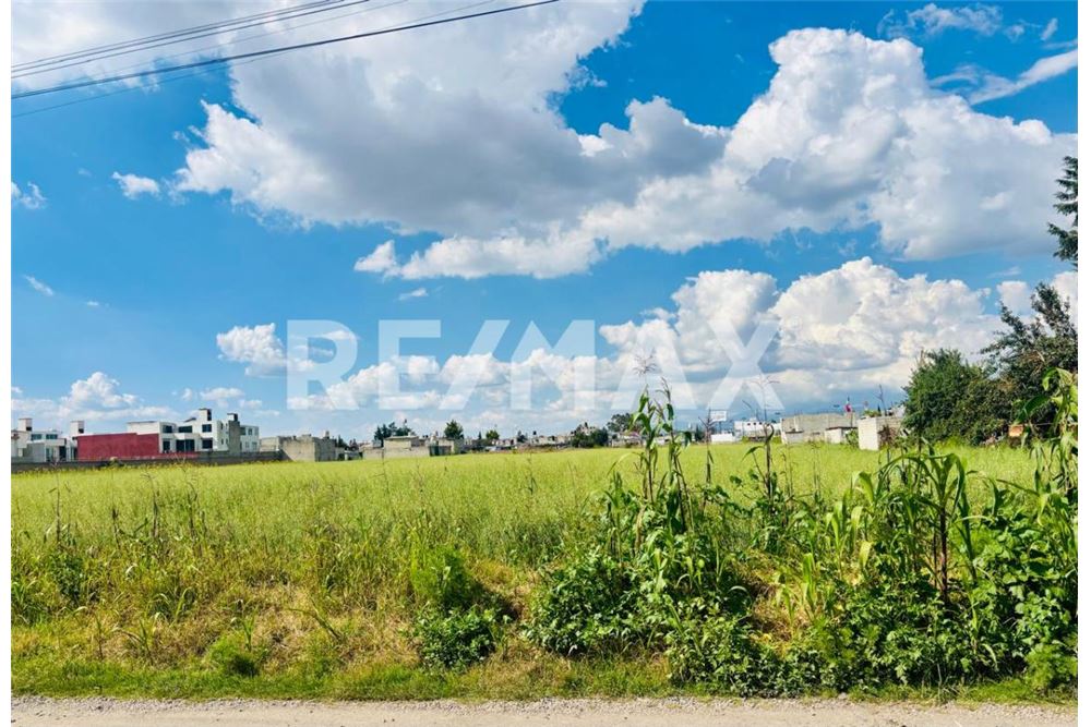 Residential - Plot of Land for Investment - Metepec, Mexico - Mexico - 6 - 1001021073-30
