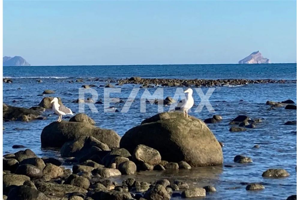 상업용 - 대지 - Ensenada, 멕시코 - Mexico - 6 - 1001006001-795