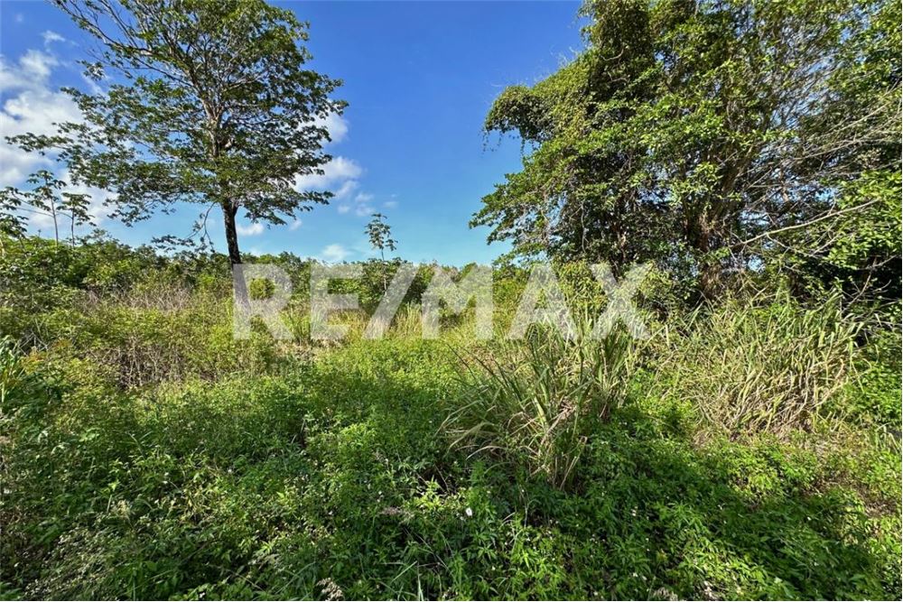 商业 - 土地 - Cancún, 墨西哥 - Mexico - 13 - 1001068002-64