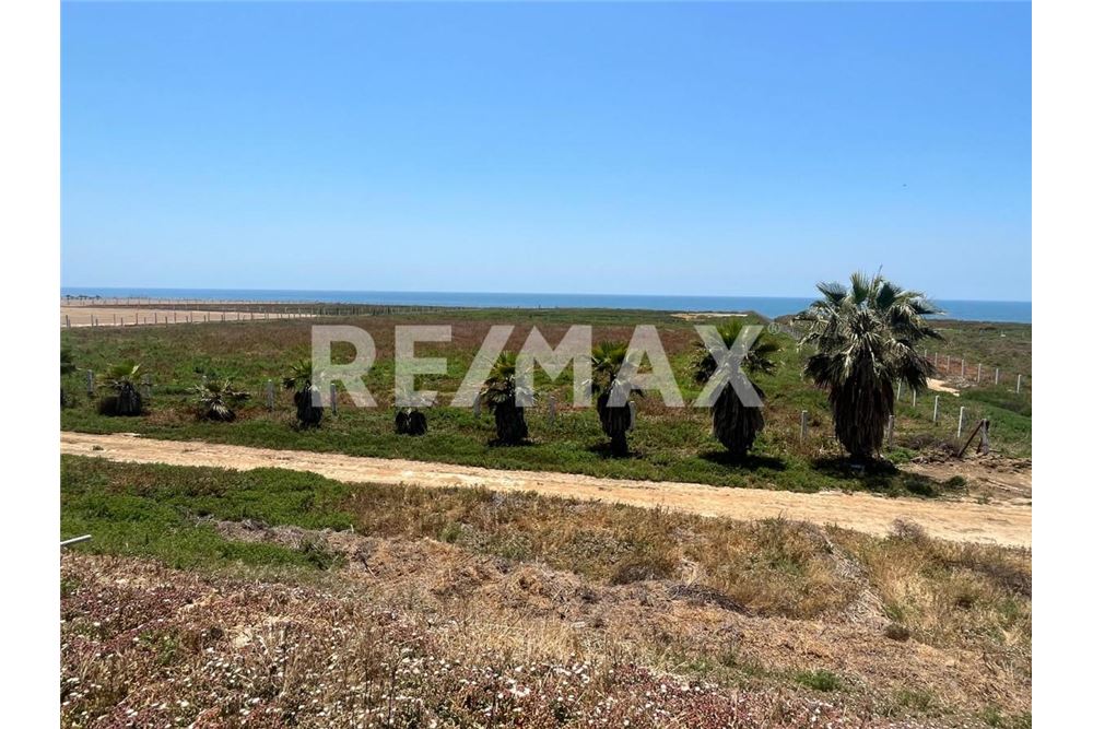 Commercieel - Grond - Playas De Rosarito, Mexiko - Mexico - 29 - 1001006182-85