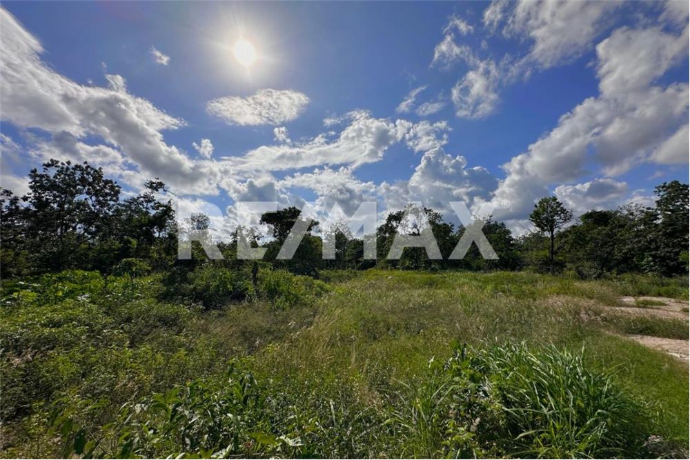 商业 - 土地 - Cancún, 墨西哥 - Mexico - 2 - 1001068002-64